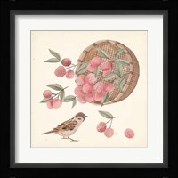 Basket with Fruit I Framed Print