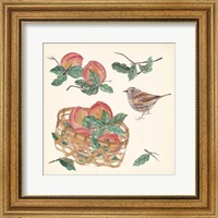 Basket with Fruit II Fine Art Print
