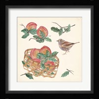 Basket with Fruit II Framed Print