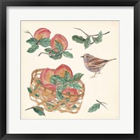 Basket with Fruit II Framed Print