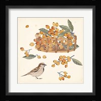 Basket with Fruit III Framed Print