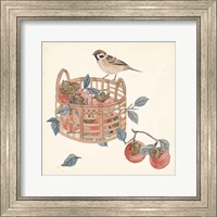 Basket with Fruit IV Fine Art Print