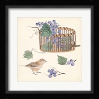 Basket with Fruit V Framed Print