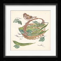 Basket with Fruit VI Fine Art Print