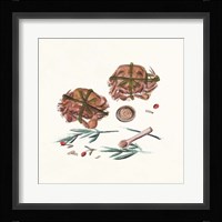 The Way Home III Framed Print