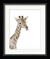 Safari Animal Portraits II Fine Art Print