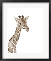 Safari Animal Portraits II Framed Print
