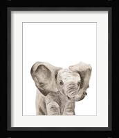 Safari Animal Portraits III Fine Art Print