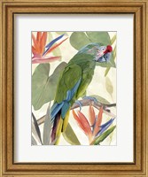 Tropical Parrot Composition I Fine Art Print