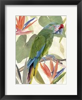 Tropical Parrot Composition I Framed Print