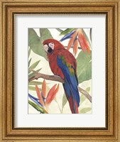 Tropical Parrot Composition II Fine Art Print