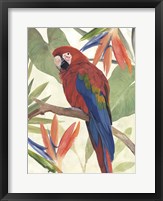 Tropical Parrot Composition II Fine Art Print
