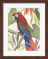 Tropical Parrot Composition III Fine Art Print