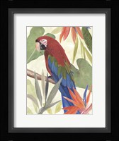 Tropical Parrot Composition III Framed Print