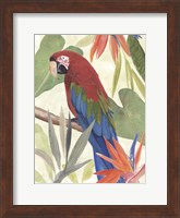 Tropical Parrot Composition III Fine Art Print