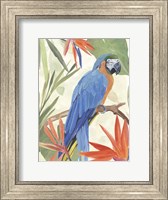 Tropical Parrot Composition IV Fine Art Print