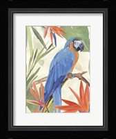 Tropical Parrot Composition IV Framed Print