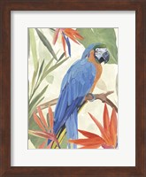 Tropical Parrot Composition IV Fine Art Print