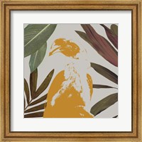 Graphic Tropical Bird II Fine Art Print