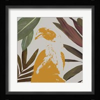 Graphic Tropical Bird II Framed Print