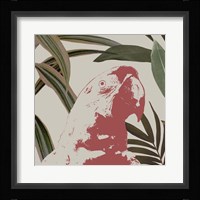 Graphic Tropical Bird IV Framed Print