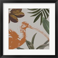 Graphic Tropical Bird VI Framed Print