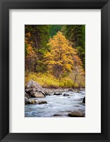 Autumn Across The River Fine Art Print
