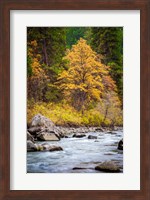 Autumn Across The River Fine Art Print