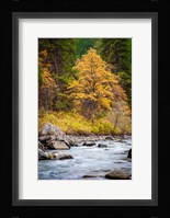 Autumn Across The River Fine Art Print