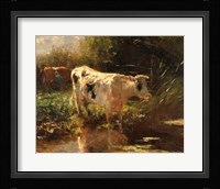 Cow Beside a Ditch, c. 1885-1895 Fine Art Print