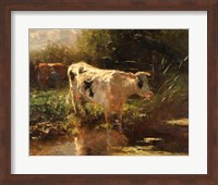 Cow Beside a Ditch, c. 1885-1895 Fine Art Print