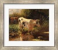 Cow Beside a Ditch, c. 1885-1895 Fine Art Print