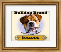 Bulldog Cigar Fine Art Print