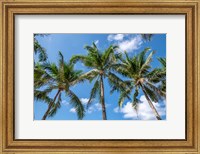 Palawan Palm Trees I Fine Art Print
