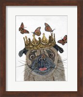 A Crowned Pug Fine Art Print