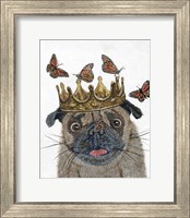 A Crowned Pug Fine Art Print