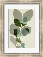 Green Leaves 10 Fine Art Print