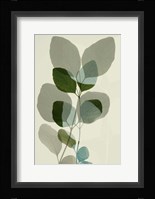 Green Leaves 10 Framed Print