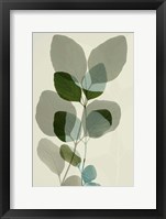 Green Leaves 10 Framed Print