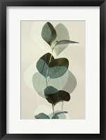 Green Leaves 8 Framed Print