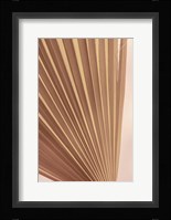 Pastel Fan 2 Framed Print