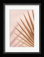 Pastel Fan 4 Framed Print