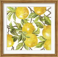 Lemon Square Fine Art Print