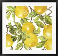 Lemon Square Fine Art Print
