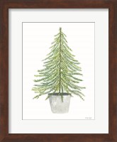 Fir Tree in Pot II Fine Art Print