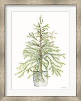 Pine Tree in Pot I Fine Art Print