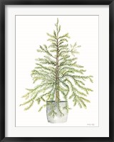Pine Tree in Pot I Fine Art Print