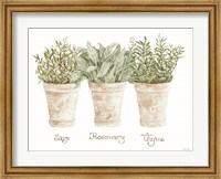 Herb Trio Fine Art Print