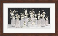 Spring Blooms in a Row Fine Art Print