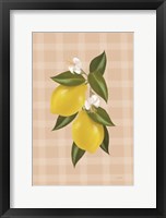 Lemon Botanical II Framed Print